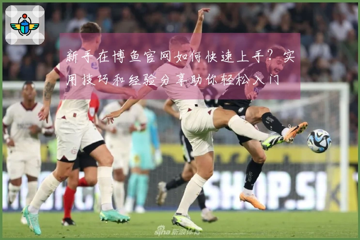 新手在博鱼官网如何快速上手？实用技巧和经验分享助你轻松入门