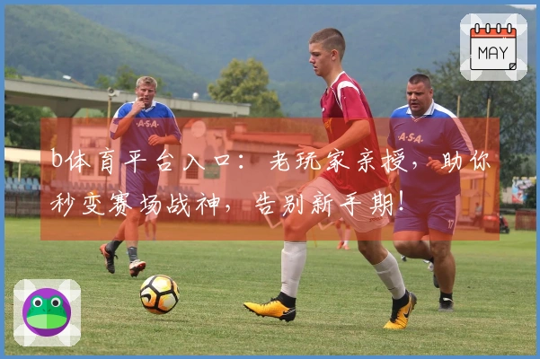 b体育平台入口：老玩家亲授，助你秒变赛场战神，告别新手期！