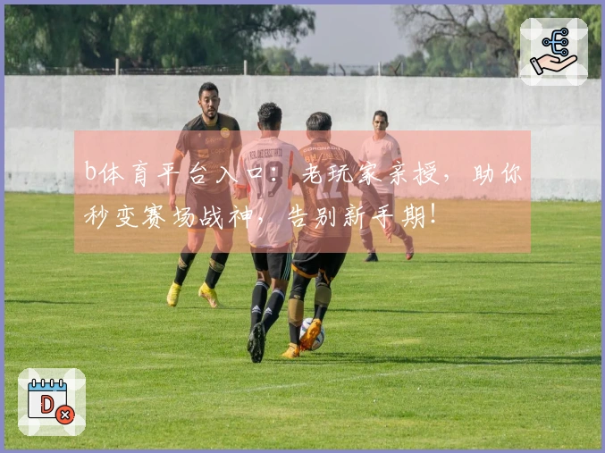 b体育平台入口：老玩家亲授，助你秒变赛场战神，告别新手期！